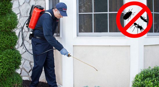Sarıyer Gümüşkurt İlaçlama böcek ilaçlama ve haşere kontrolü — ilaclama-tr.com